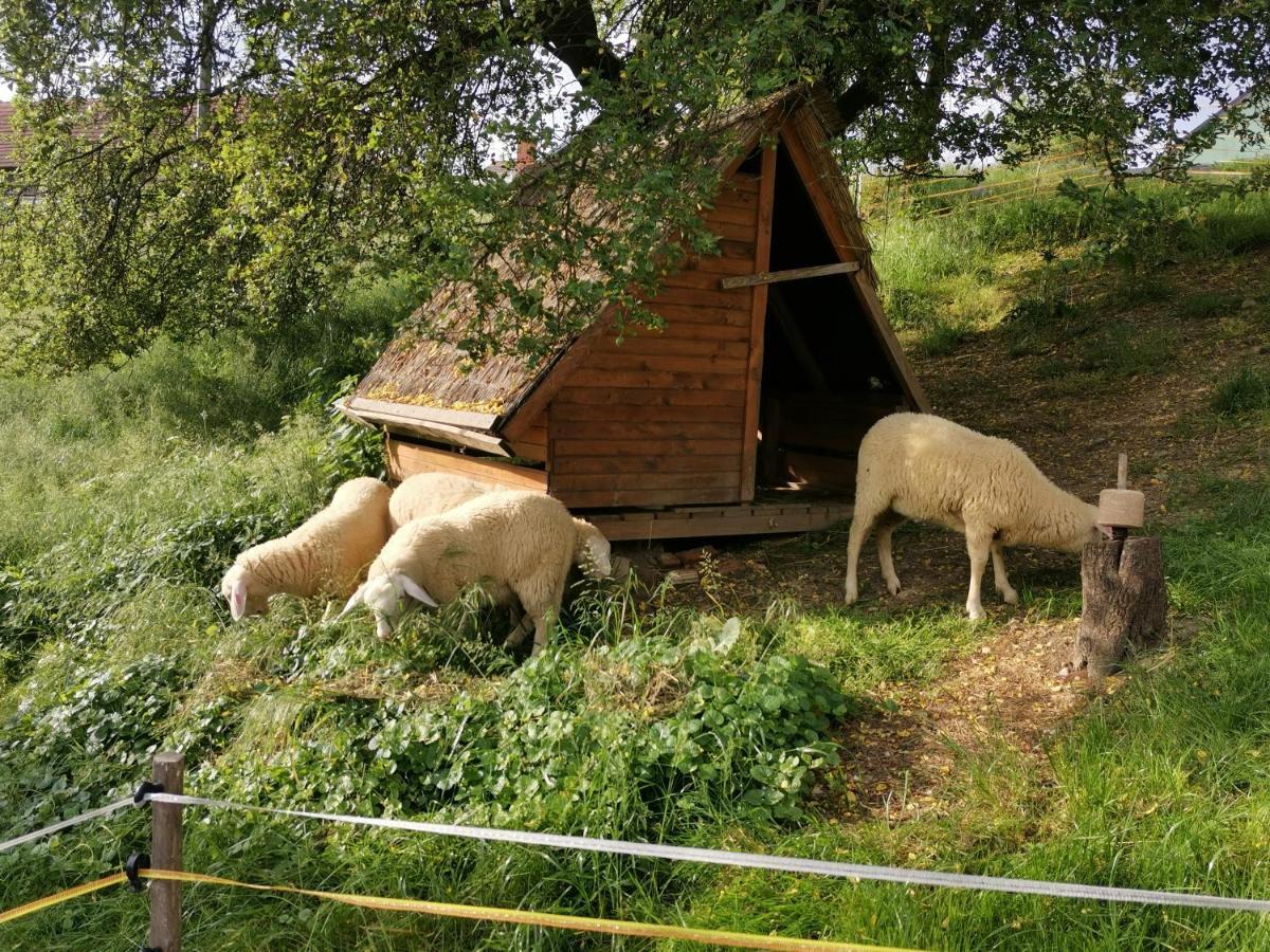Camping Silva Ljutomer Bagian luar foto